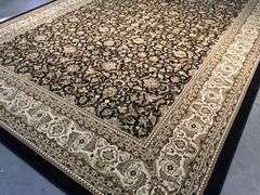 Exquisite Sarouk Persian Traditional Area Rug 8x11