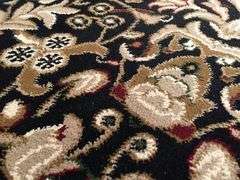 Exquisite Sarouk Persian Traditional Area Rug 8x11