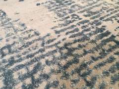 Magnificent Premium Designer Series Area Rug 6X8
