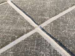 Carved  French Savonnerie Design Area Rug 8x11