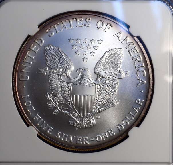 2003 MS69 Silver Eagle NGC