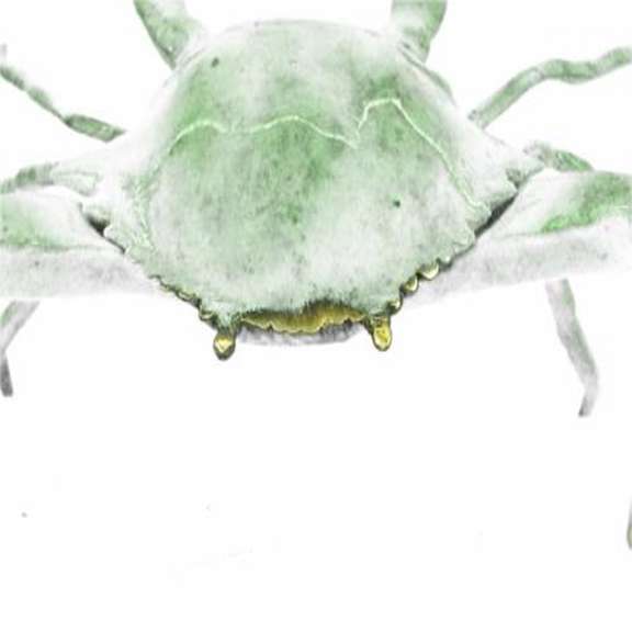 Green Painted Male Crab Bronze Sculpture