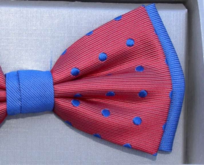 Stylish 100% Silk Bow Tie By Zianni