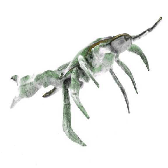 Museum Quality Blue Crab Bronze Sculpture