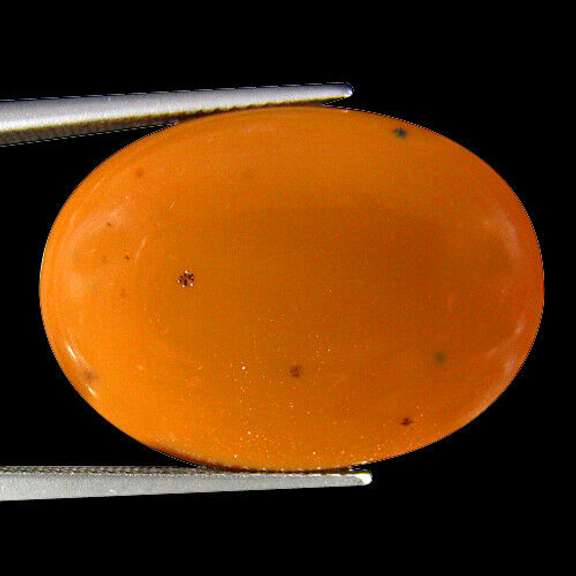 Amazing 16.65ct American caramel Opal