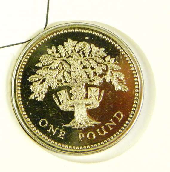 1987 1st Day English Uncirculated 1 Pound Coin