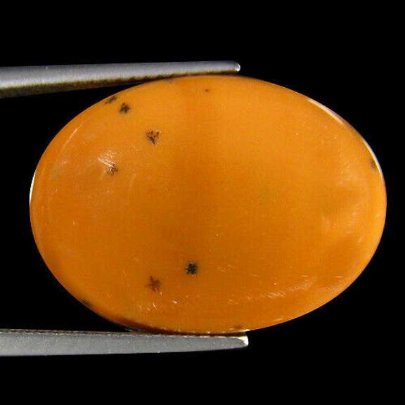Amazing 12.92ct American caramel Opal
