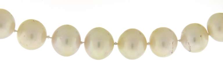 Elegant White Pearl Necklace with Diamond Lobster Clasp