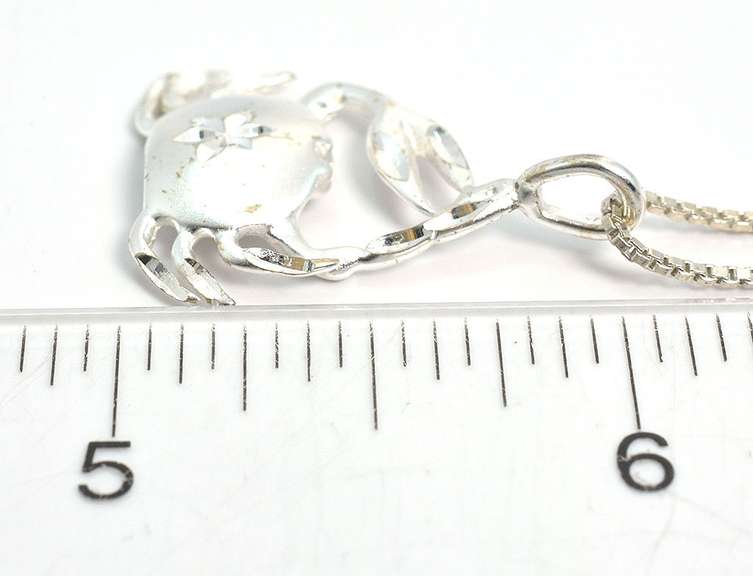 Sterling Silver Crab Pendant & Chain