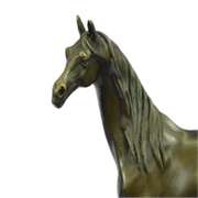 Arabian Horse Bronze Sculpture