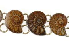 Sterling Silver Nautilus Ammolite Shell Fossil Statement Bracelet