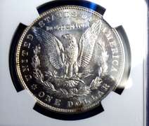 Flashy Near PL 1904-O Morgan Silver Dollar, MS64 NGC