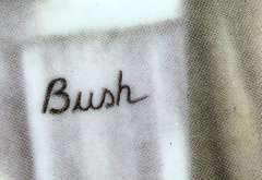 Collector's Fine China Plate