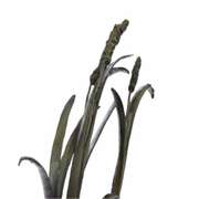 Bird Marshland Bronze Sculpture on Marble Base Statue