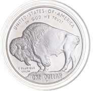 2001-P American Buffalo Commemorative Dollar