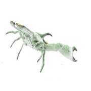 Green Painted Male Crab Bronze Sculpture