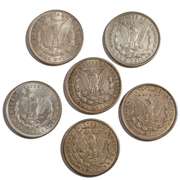6 Near Unc & Unc 1921 Morgan Silver Dollars