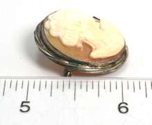 Vintage Sterling Cameo Pendant/Pin