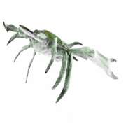 Museum Quality Blue Crab Bronze Sculpture