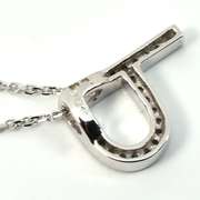 P Initial Pendant Necklace with Diamonds in 14K WG