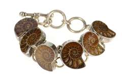 Sterling Silver Nautilus Ammolite Shell Fossil Statement Bracelet