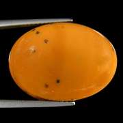 Amazing 12.92ct American caramel Opal