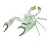 Green Painted Male Crab Bronze Sculpture