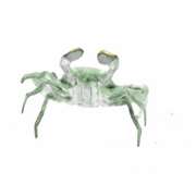 Green Painted Male Crab Bronze Sculpture