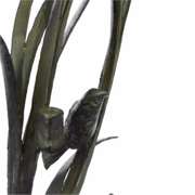 Bird Marshland Bronze Sculpture on Marble Base Statue