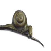 Snails on Branch Bronze Sculpture on Marble Base Statue