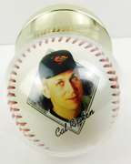 Cal Ripken Jr. 1995 Photo Baseball