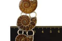 Sterling Silver Nautilus Ammolite Shell Fossil Statement Bracelet