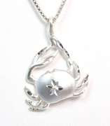Sterling Silver Crab Pendant & Chain