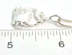 Sterling Silver Crab Pendant & Chain