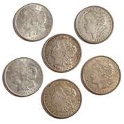 6 Near Unc & Unc 1921 Morgan Silver Dollars