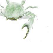 Green Painted Male Crab Bronze Sculpture