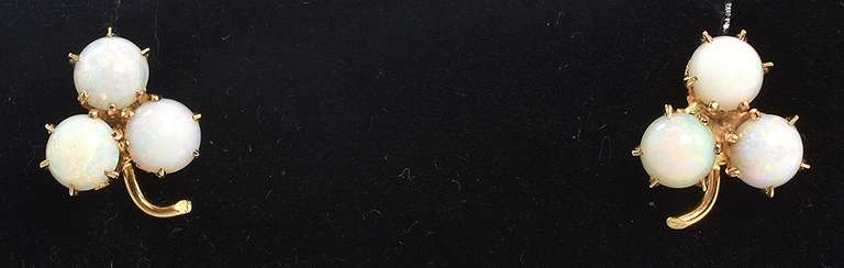 Fun Opal Earrings in Yellow Gold