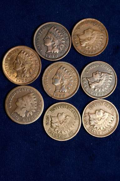 Lot of 8 Indian Head Cents w/1876 & 1879