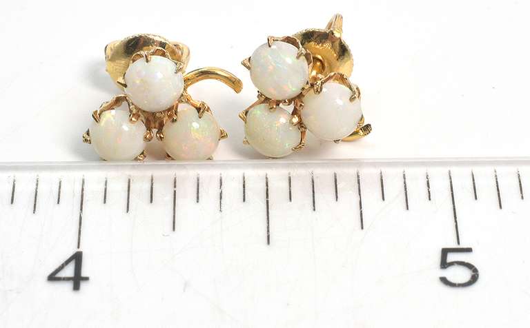 Fun Opal Earrings in Yellow Gold