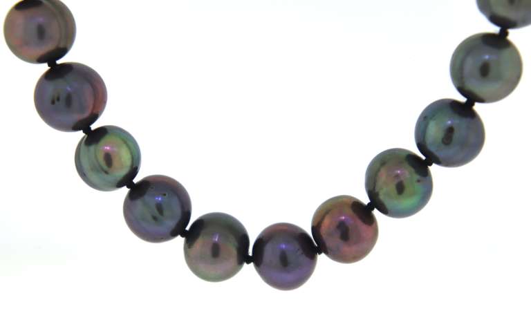 Elegant Peacock Black Pearl Necklace