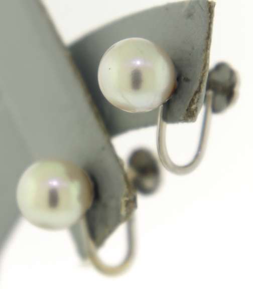 Lovely 14kt WG White Pearl Screw Back Earrings