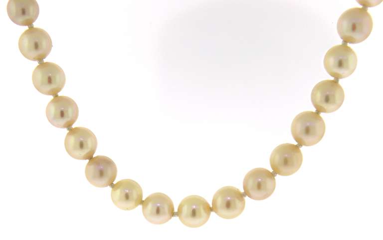 Soft Golden Pearl Necklace