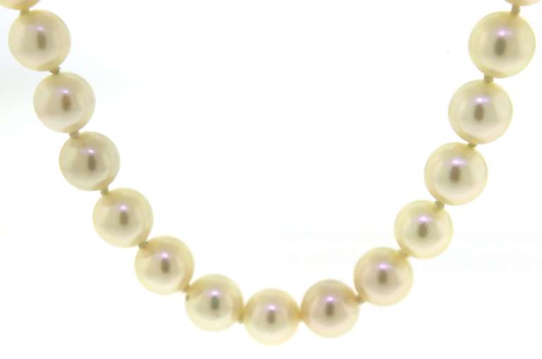 Elegant 7.5-8mm Pearl Necklace