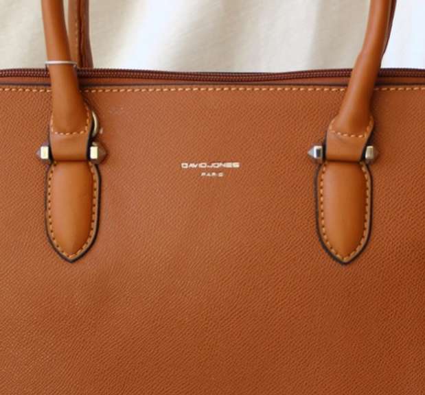 Seductive Style Bag By David Jones, Paris