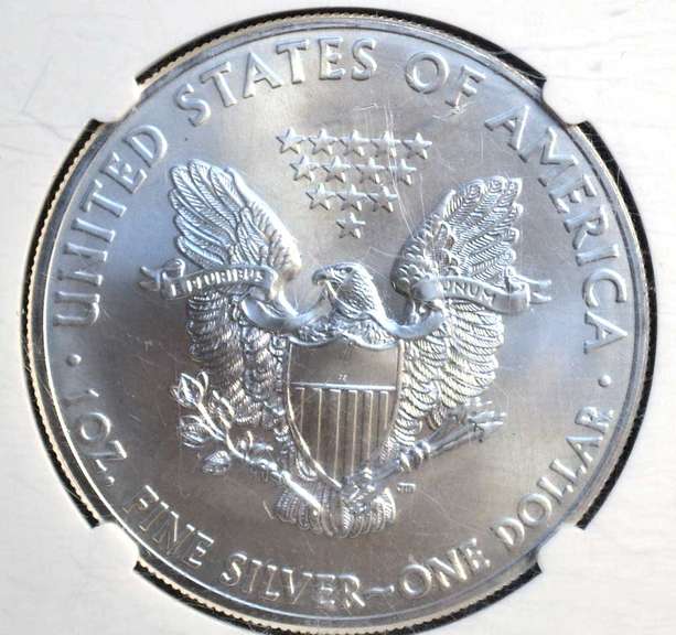 2014 Silver Eagle NGC MS 69