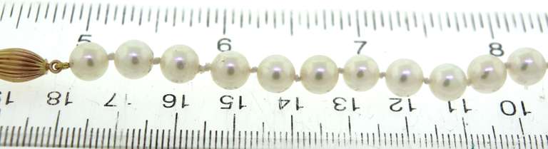 White Fresh Water Pearl Necklace