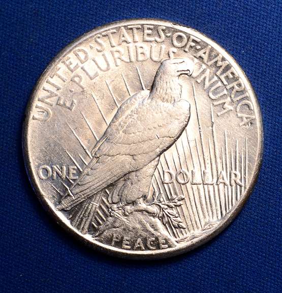 1928 PEACE DOLLAR  CIRCULATED