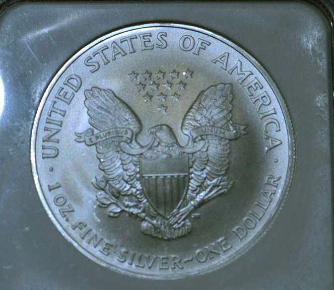 2005 First Strike NGC MS69 Silver Eagle .