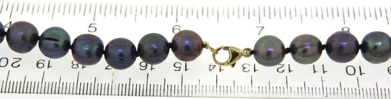 Elegant Peacock Black Pearl Necklace