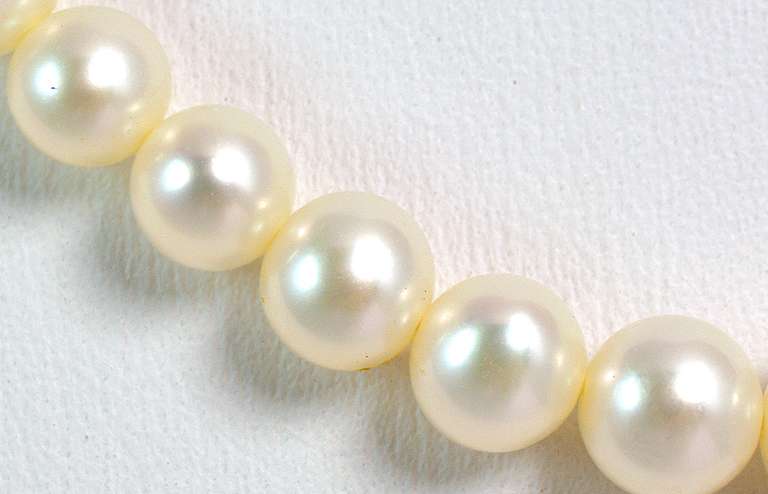 Graduated Pearl Necklace with 14KT Clasp